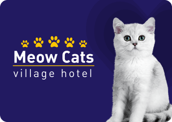 meowcats-hotel.ru